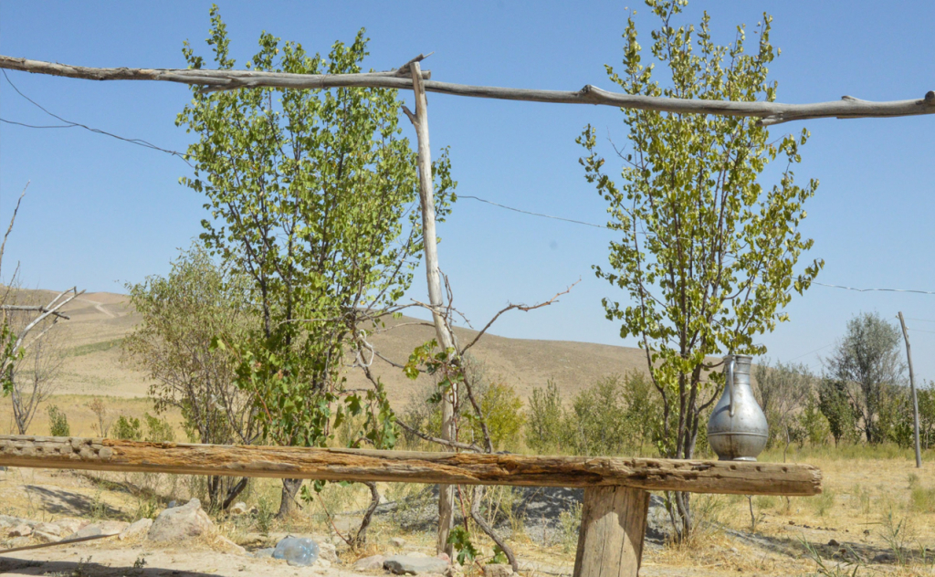 chopon qiz 10 chopon qiz 10