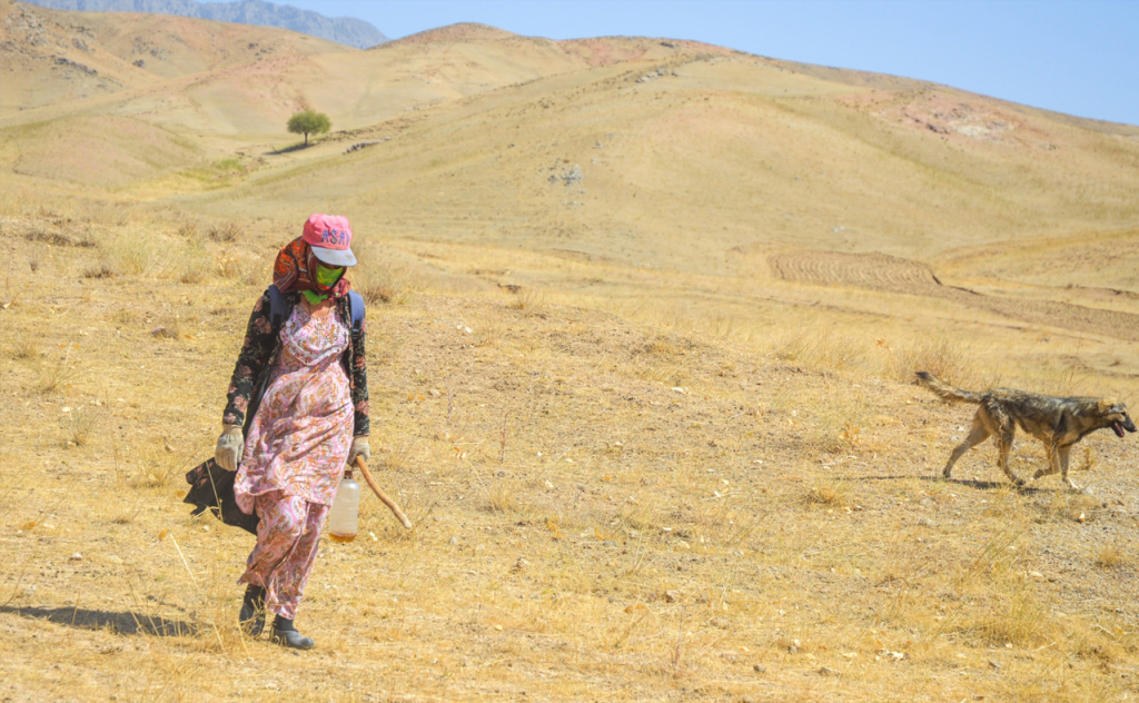 chopon qiz 11 chopon qiz 11