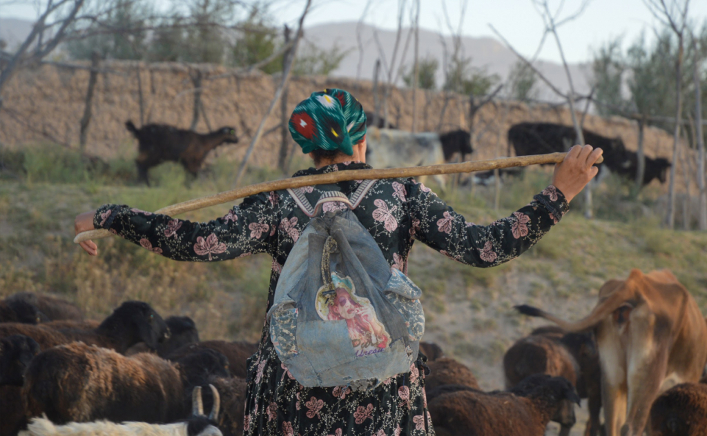 chopon qiz 20 chopon qiz 20