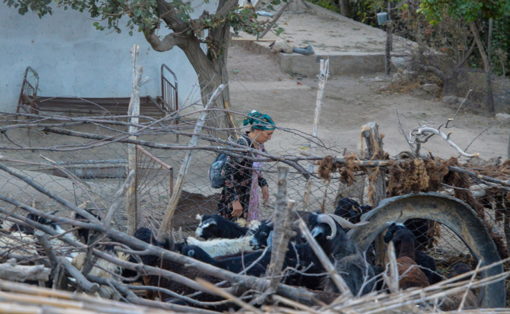 chopon qiz 18 chopon qiz 18