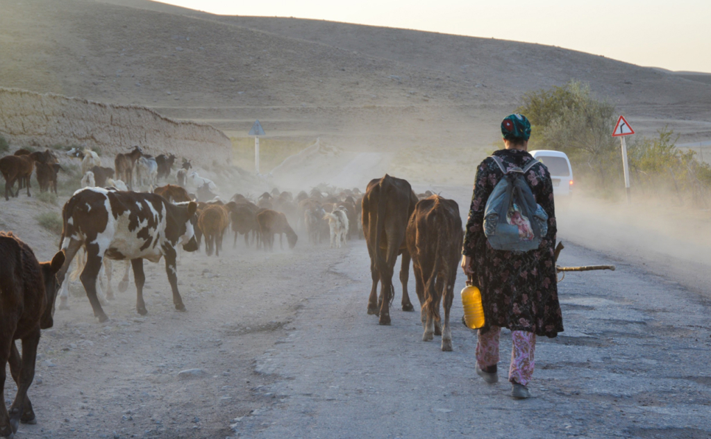 chopon qiz 21 chopon qiz 21