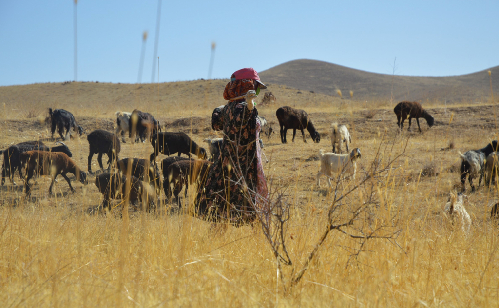 chopon qiz 23 chopon qiz 23