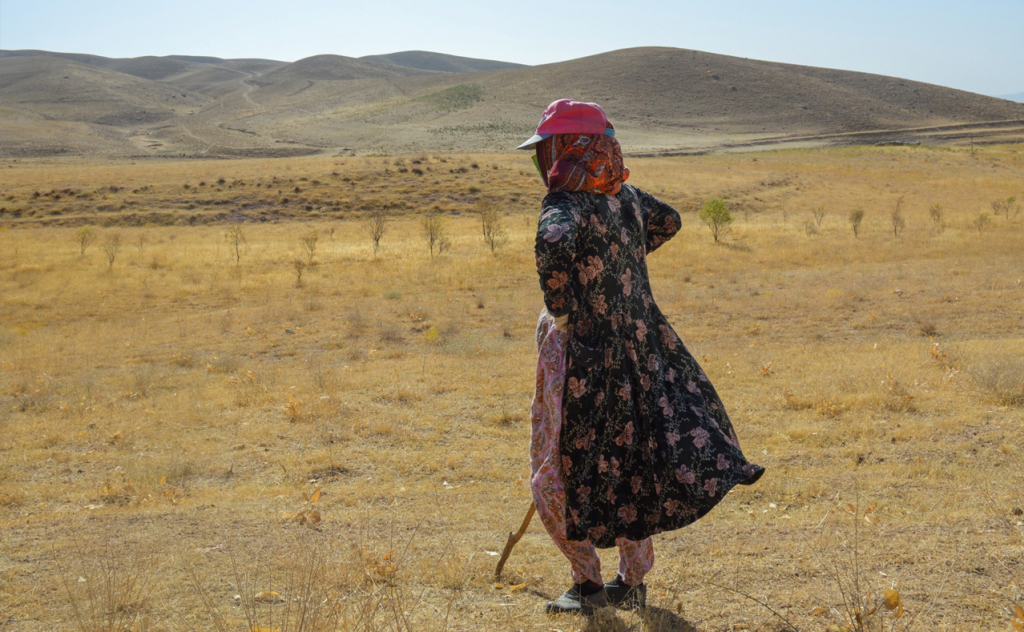 chopon qiz 25 chopon qiz 25