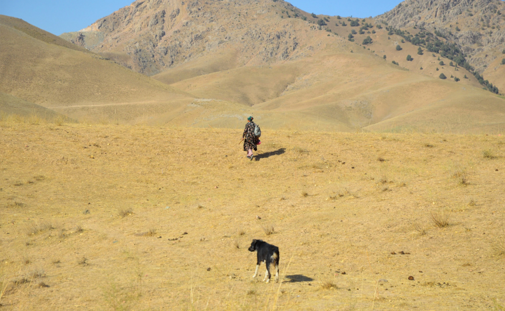 chopon qiz 28 chopon qiz 28