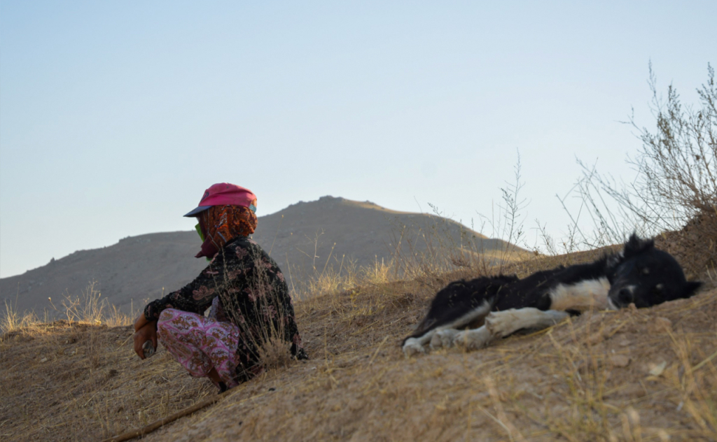 chopon qiz 30 chopon qiz 30