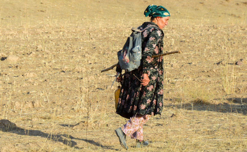 chopon qiz 31 chopon qiz 31