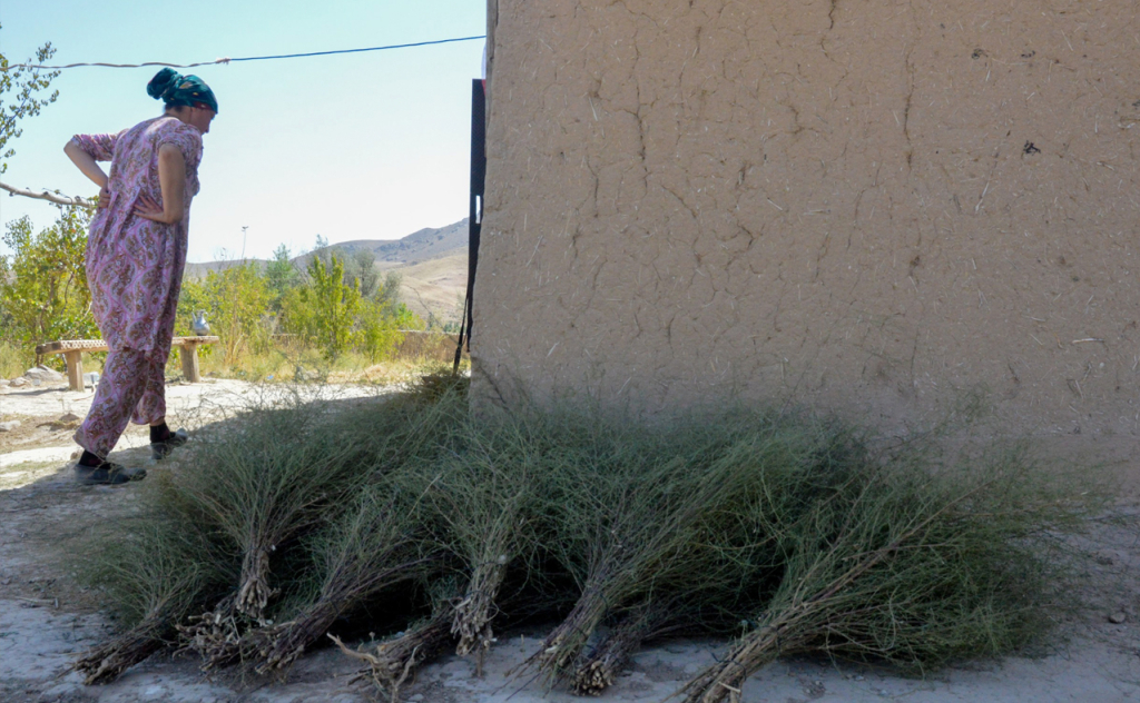 chopon qiz 34 chopon qiz 34