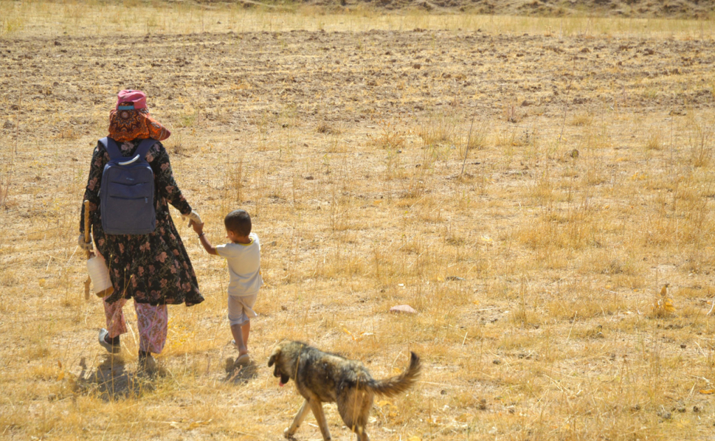 chopon qiz 38 chopon qiz 38