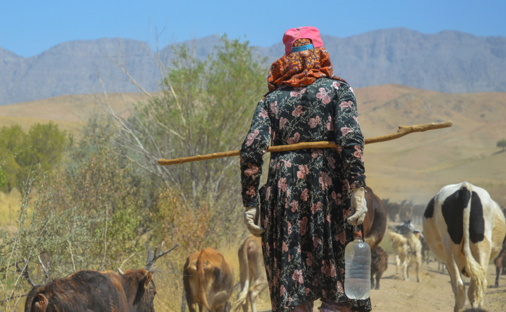 chopon qiz 40 chopon qiz 40