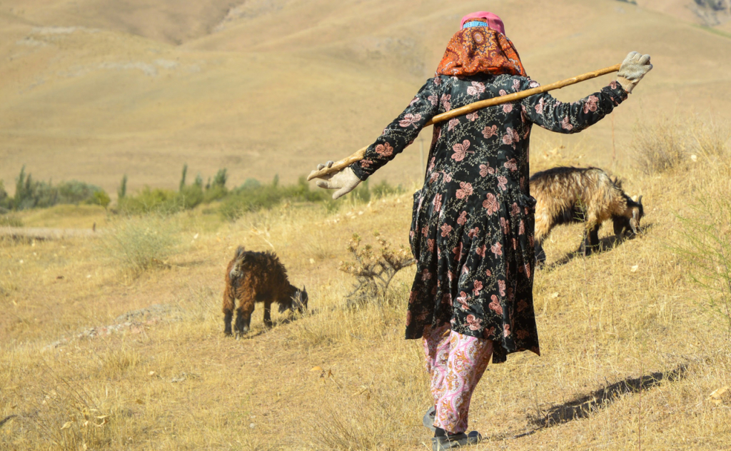 chopon qiz 43 chopon qiz 43