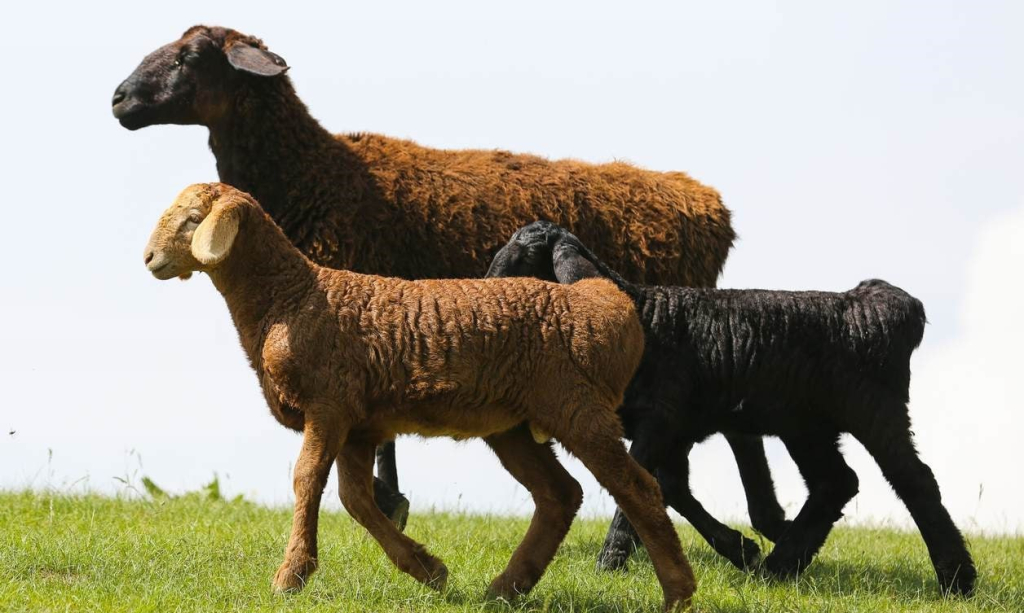 Reality.com porno Xotinim va dostim bilan jinsiy aloqa