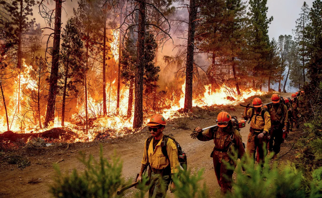 global warming 04 global warming 04