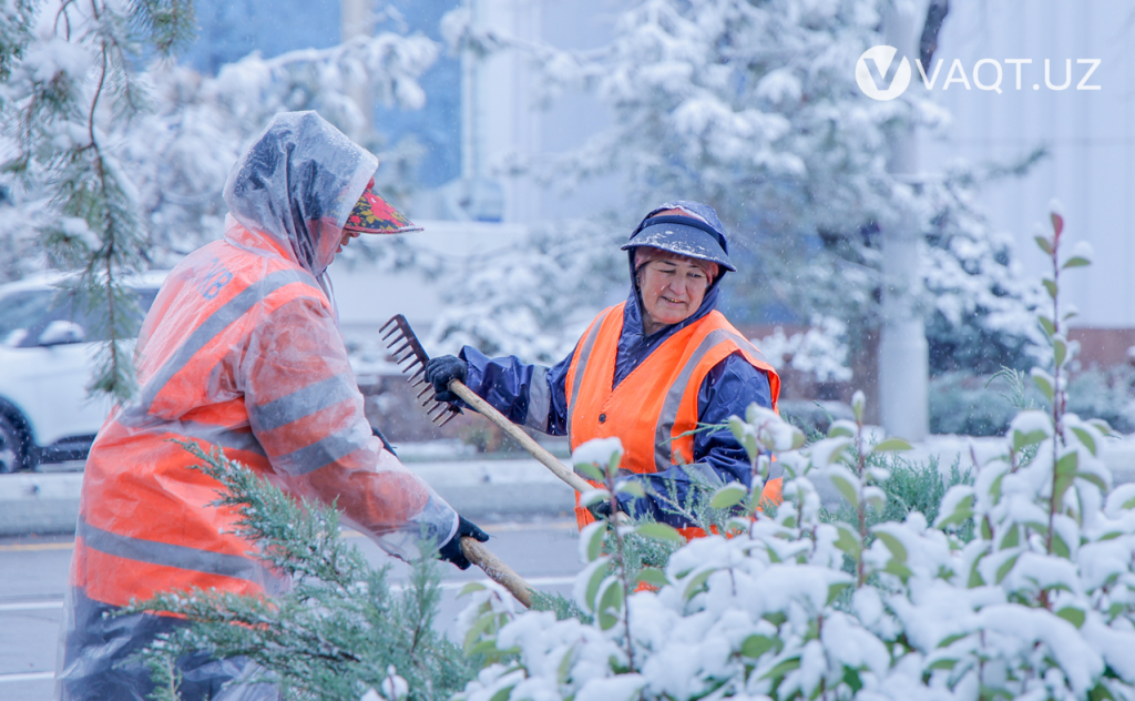 qish toshkent 03 qish toshkent 03