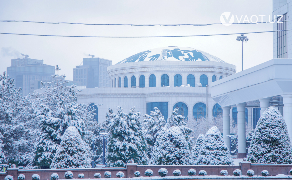 qish toshkent 02 qish toshkent 02