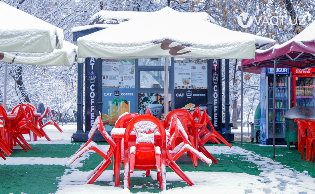 qish toshkent 07 qish toshkent 07