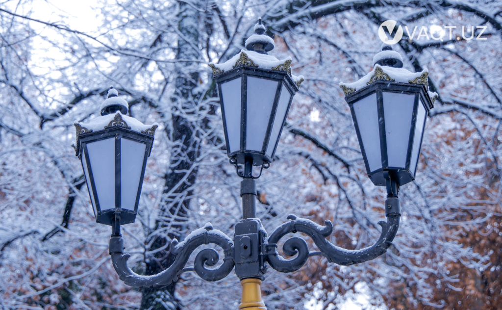 qish toshkent 10 qish toshkent 10