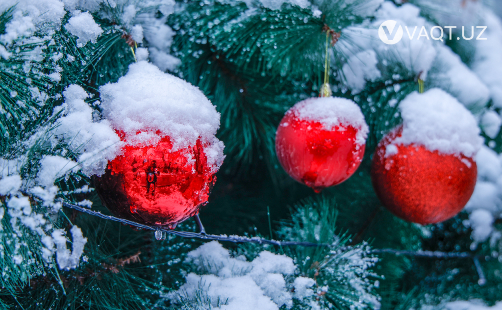 qish toshkent 12 qish toshkent 12
