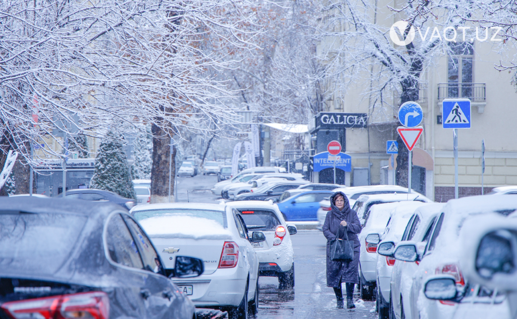 qish toshkent 13 qish toshkent 13