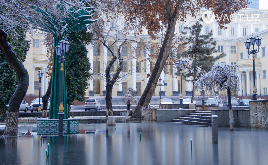 qish toshkent 11 qish toshkent 11