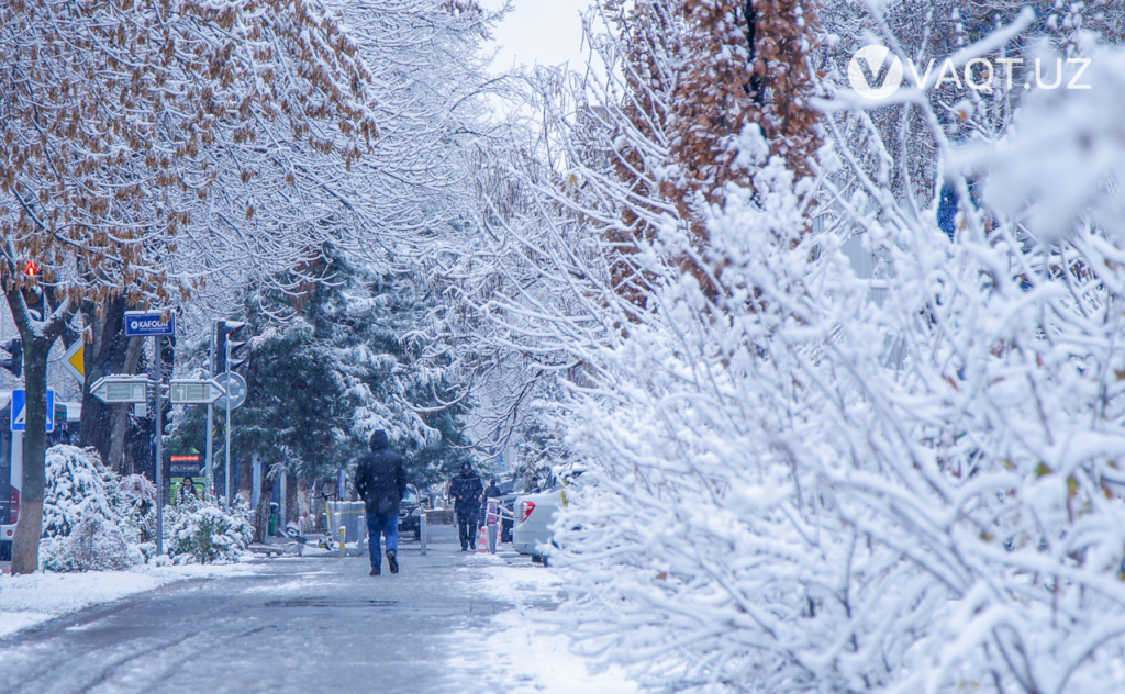 qish toshkent 17 qish toshkent 17