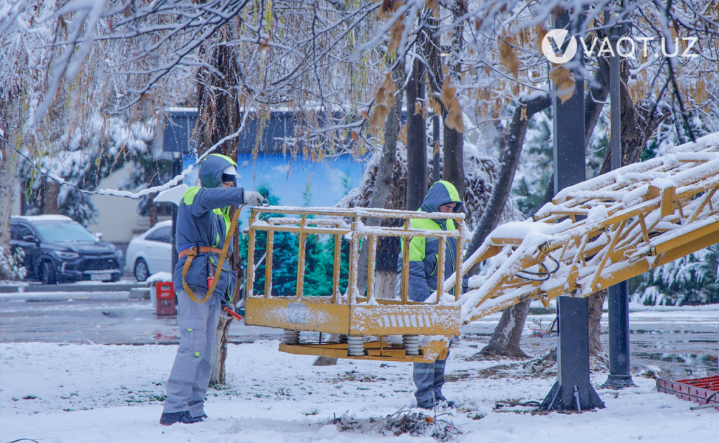 qish toshkent 16 qish toshkent 16