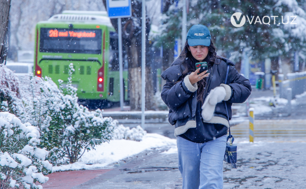 qish toshkent 18 qish toshkent 18