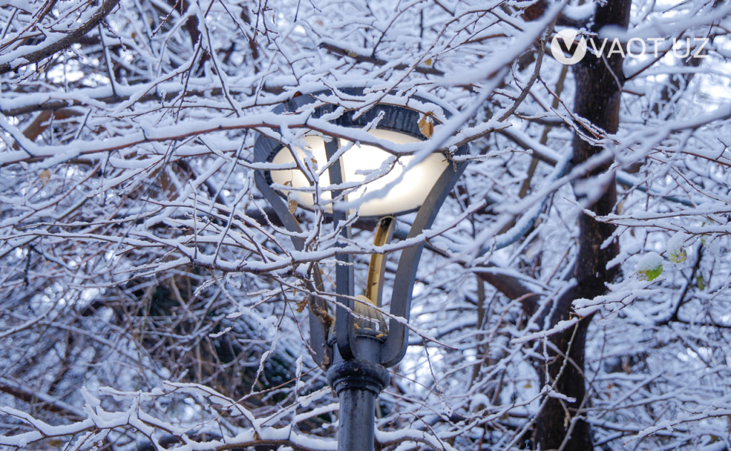 qish toshkent 14 qish toshkent 14