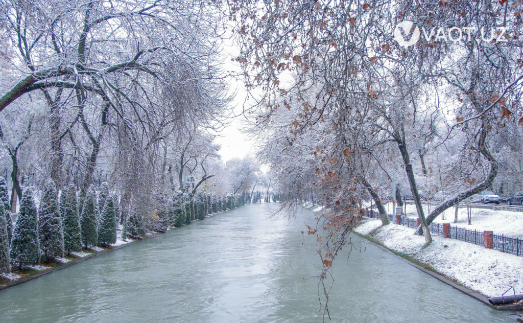 qish toshkent 23 qish toshkent 23