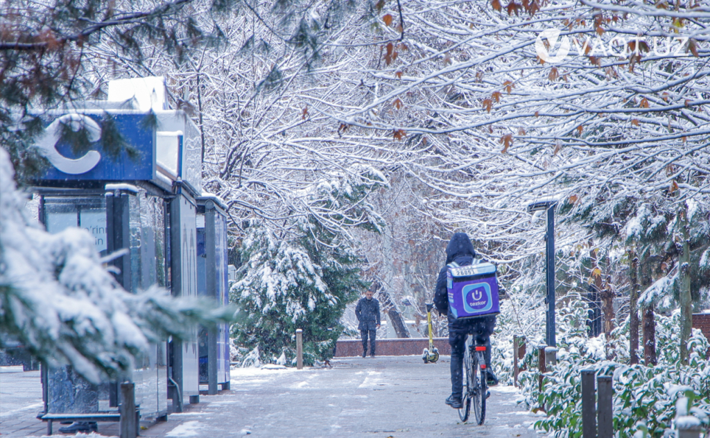 qish toshkent 22 qish toshkent 22