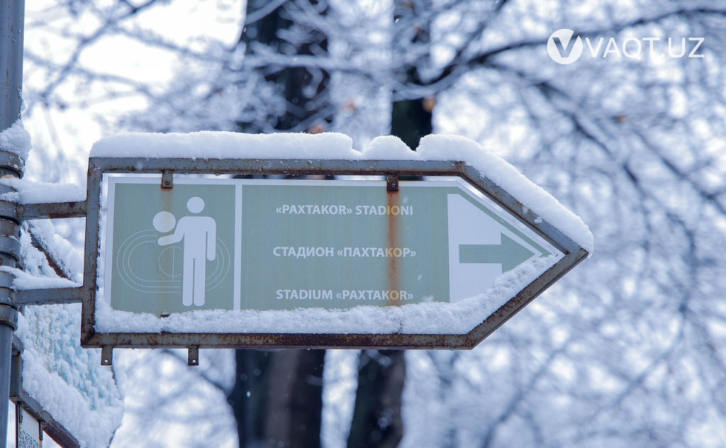 qish toshkent 20 qish toshkent 20