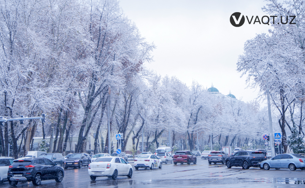 qish toshkent 27 qish toshkent 27