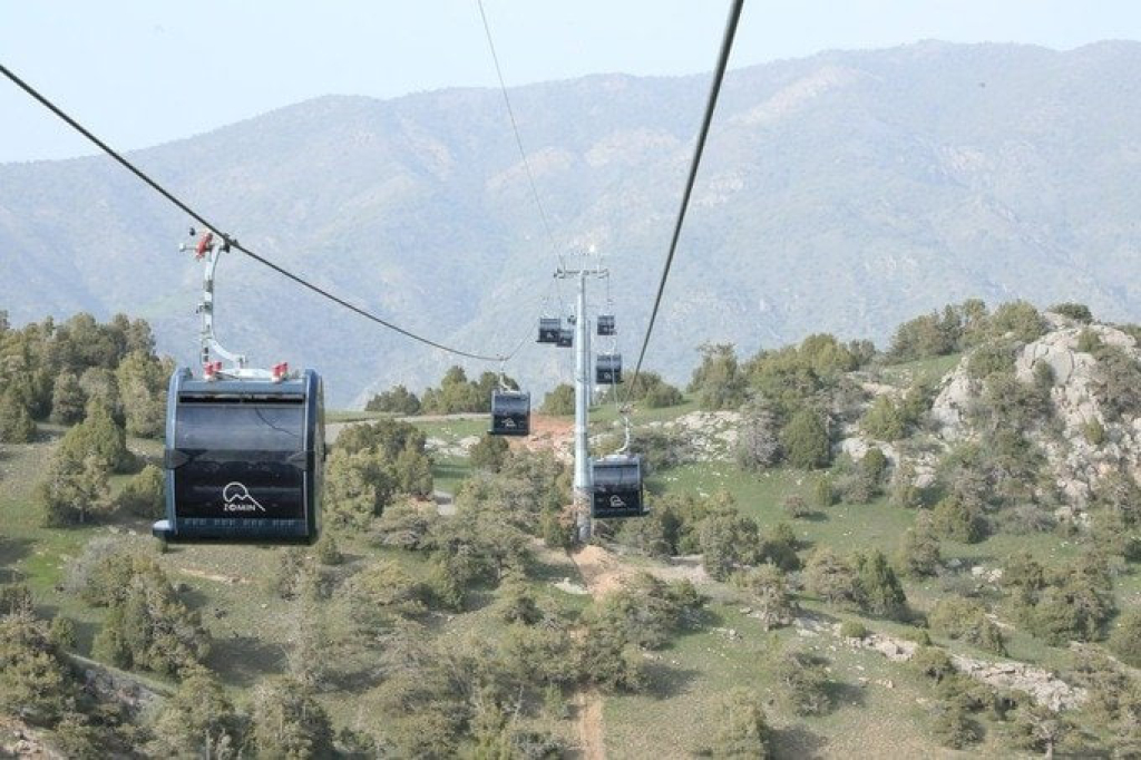 photo_2026-01-19_13-32-33