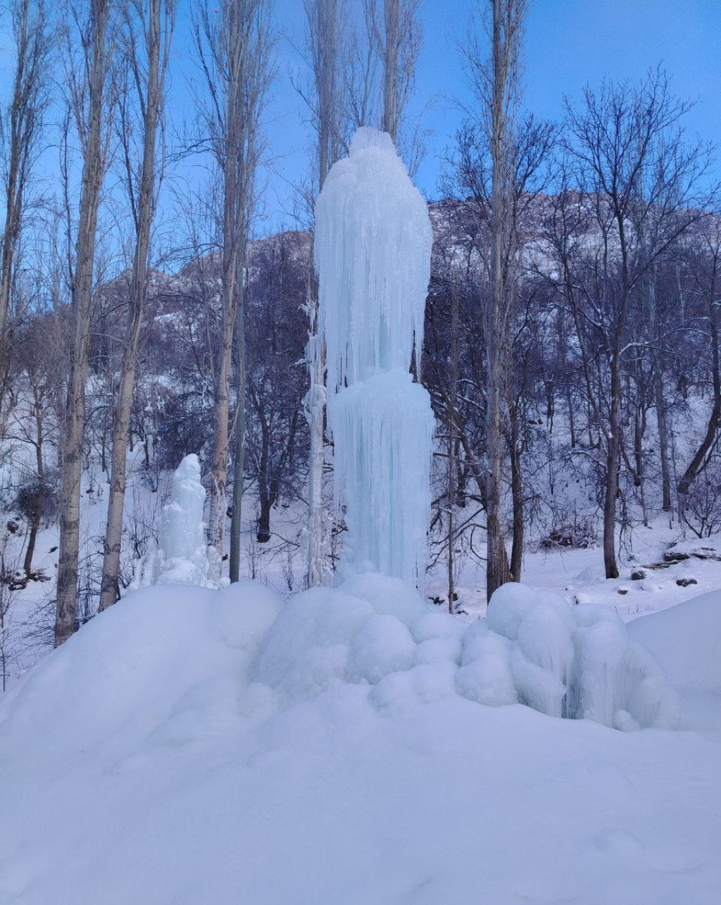 photo_2026-01-26_21-43-19