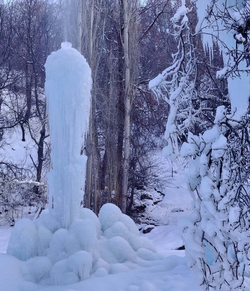 photo_2026-01-26_21-43-36