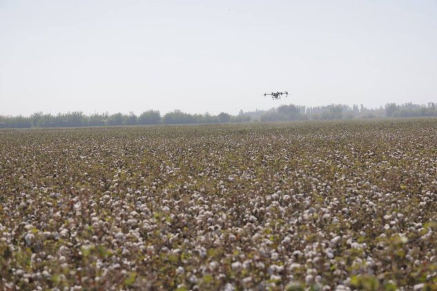 Photo 2 2025 10 12 18 28 11