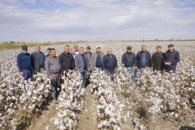 Photo 4 2025 10 12 18 28 11