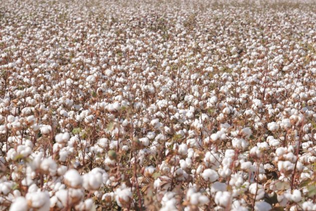 Photo 6 2025 10 12 18 28 11