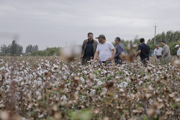 Photo 8 2025 10 12 20 31 06